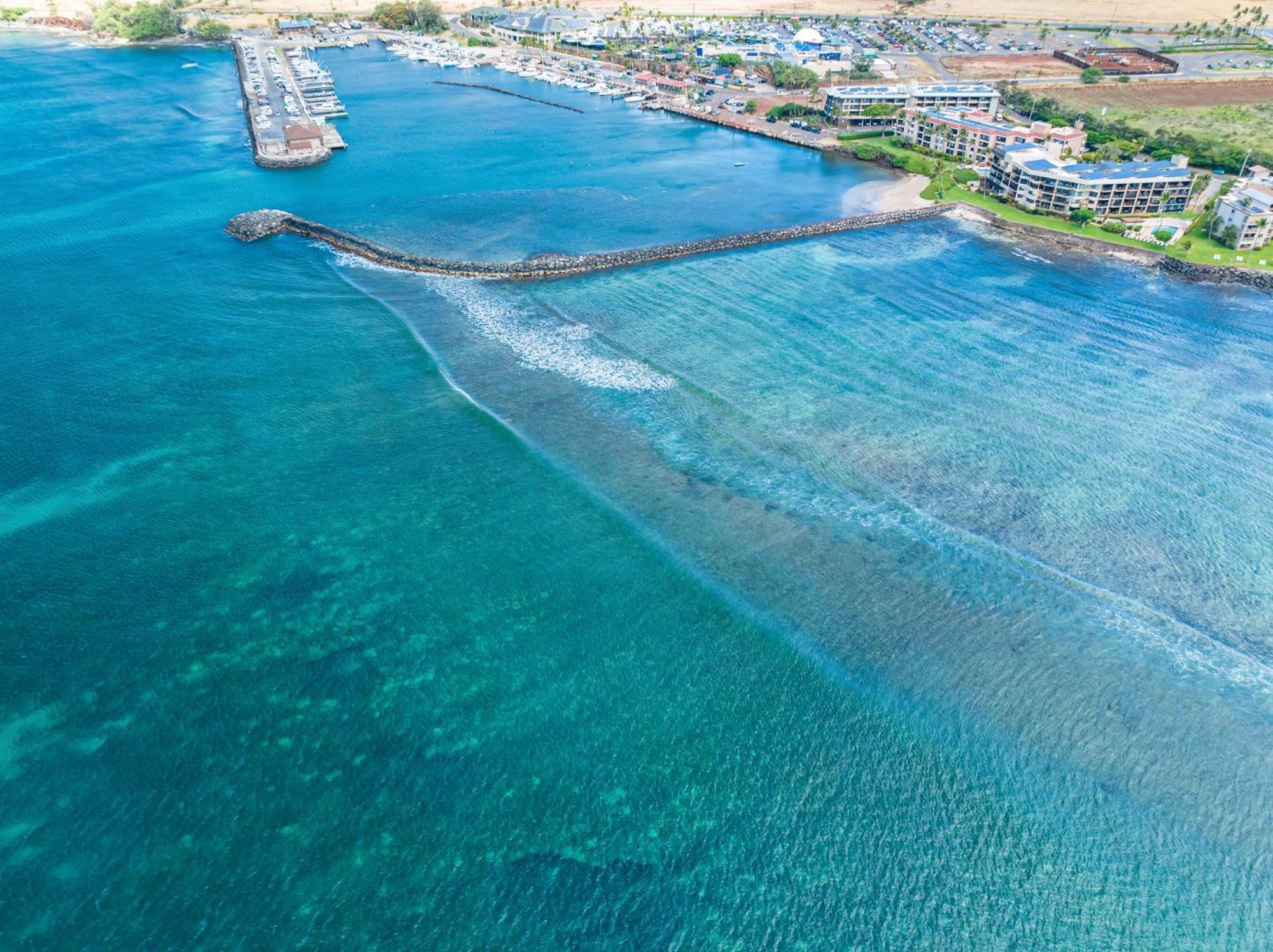 106 Milowai Wailuku Dış mekan fotoğraf